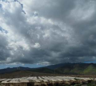 Vorbei an den Gewächshäusern