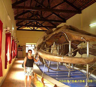 Speckstein-Walskelett