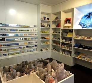 Museums-Shop im Eingangsbereich
