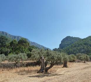 Weg nach Soller