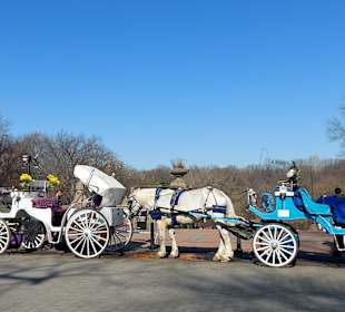 Kutschen warten auf Mitfahrer 