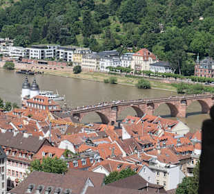 Blick von der Schlossterrasse (Großer Altan)