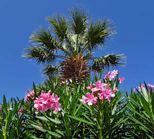 Impressionen aus dem Jardin des Plantes