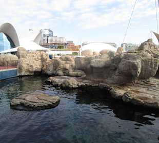 Aquarium / Oceanongrafic