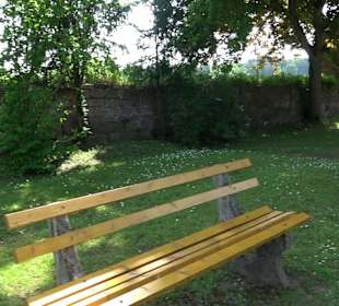 Schlossruine Wildberg