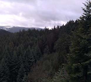 Ausblick vom Karlsstein