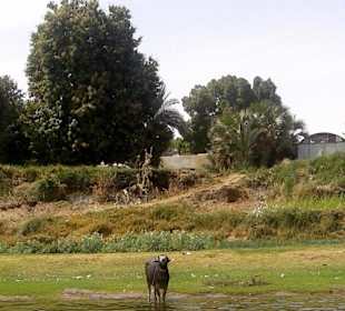 Nil-Kreuzfahrt mit Reisen in Ägypten