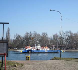 Die Rheinfähre Leimersheim