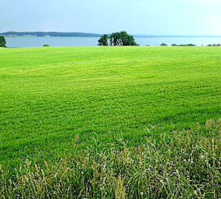Wanderung Loddiner Höft