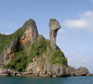 Tour-Abschnitt-Chicken-Island