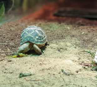 Allwetterzoo Münster