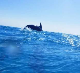 Doppelter rittberger