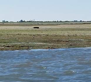 Bootstour Ria Formosa