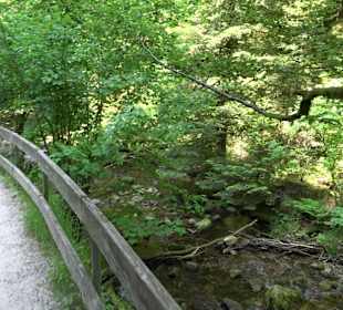 Wasserfälle Allerheiligen