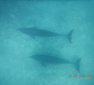 Ausflug mit Mohamed-Dream Life