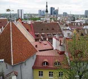 Tallinn
