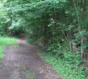 Schutzgebiet Spitzberg, Pfaffenberg