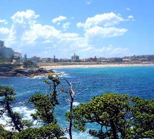 Bondi to Coogee Walk