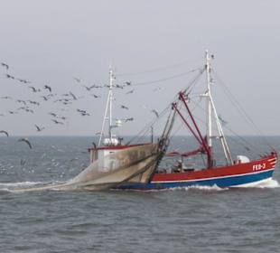 Ausflugsfahrt mit der WEGA 2