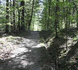 Wanderweg Hochgehwachsen
