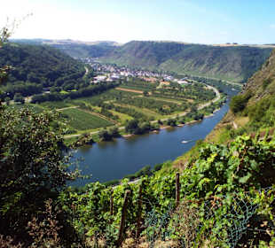 Moseltalbrücke Koblenz
