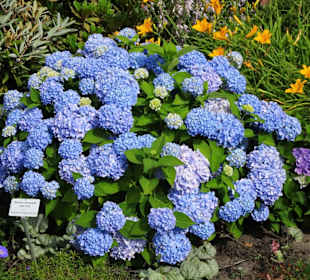 Eindrücke vom Rundgang durch den Park der Gärten