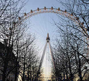 London Eye