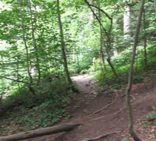 Natur-Hochseilgarten Triberg