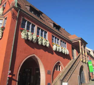 Chrysanthema Lahr