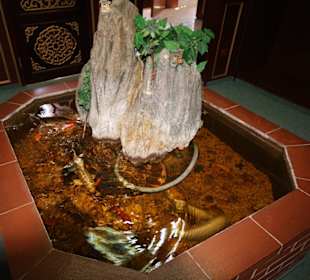 Fischbecken im Eingang