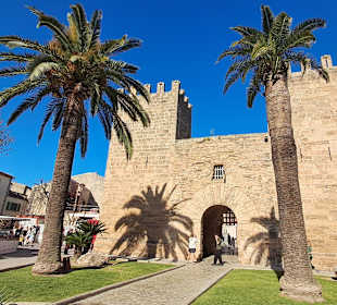 Plaza de Carlos V in Alcudia