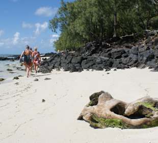 Bootsausflug Ile aux cerfs