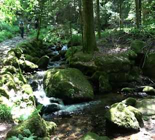 Gertelbach-Rundweg
