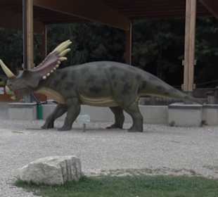 Dinosaurier Museum Altmühltal