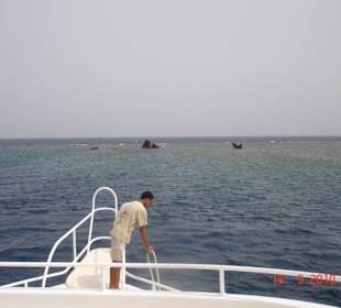 Wracktauchen am Sha'b Abu Nuhas