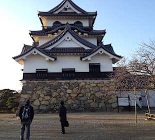 Hikone castle and surrounding garden
