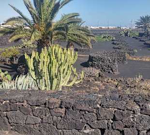 Garten und Außenanlage