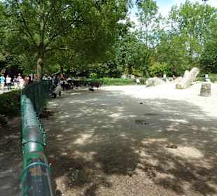 Damaraziege und Shetland Pony Anlage