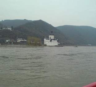 Burg Pfalzgrafenstein Zollburg im Rhein