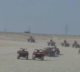Die Quad's