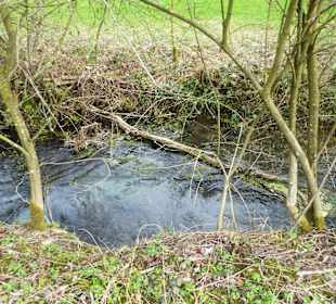 Naturschutzgebiet Kupferbachtal