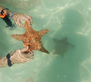 Stopp vor einer Bucht auf dem Weg nach Saona 