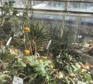 Botanischer Garten