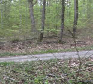 Wanderweg Firstwaldrunde