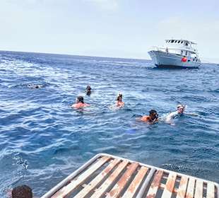 Schnorcheln Abu Soma