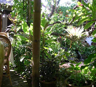 Garten vom "Poppies"