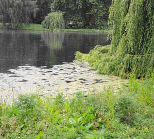 St. James´s Park Impressionen