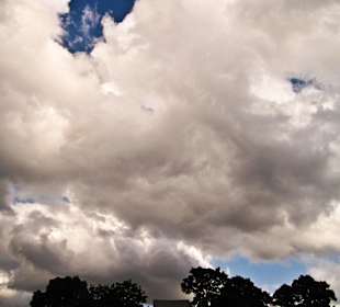 Кладбище Ольсдорф, Гамбург, 16 сентября 2013 года