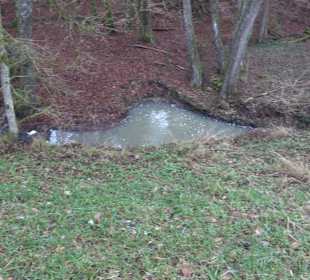 Wanderung rund um den Ochsenweiher