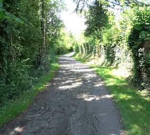 HAP Grieshaber Rundweg